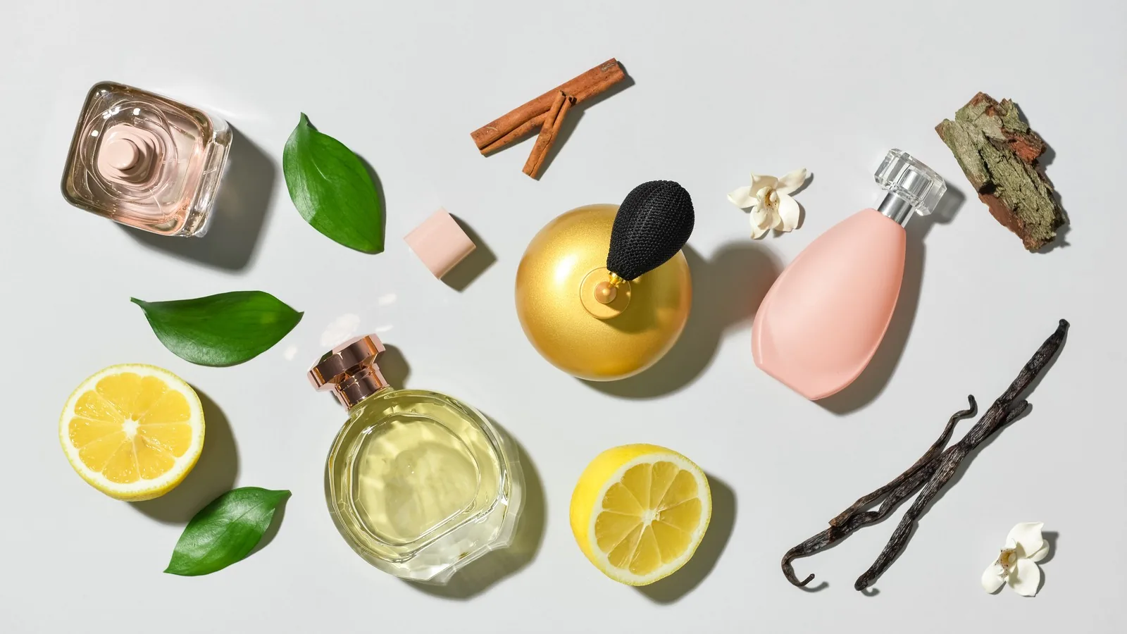 An overhead spread of unbranded perfume bottles laid out among the raw materials they are built from: lemon halves, cinnamon sticks, vanilla pods, jasmine flowers, green leaves and a piece of mossy bark.